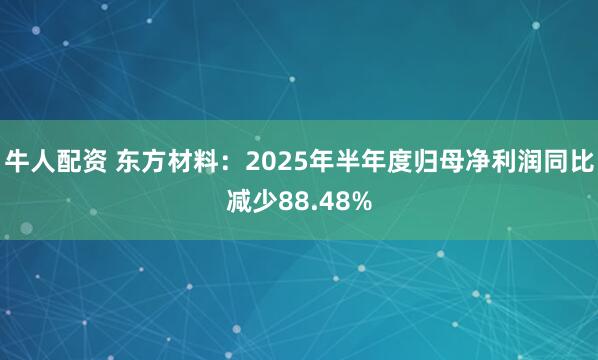 牛人配资 东方材料：2025年半年度归母净利润同比减少88.48%